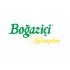 Boğaziçi