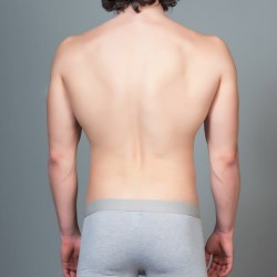 Cityman 126 Erkek Boxer Gri Melanj