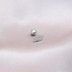 6mm Balık Tasarımlı 316L Cerrahi Çelik Piercing