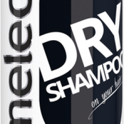 Cameleo BB Dry Hair Shampoo 200 Ml Pl