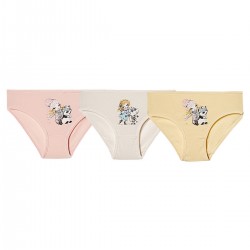 C&City Kız Çocuk 3'lü Baskılı Slip Külot 1020 K-103
