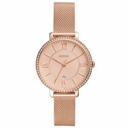 Fossil ES4628