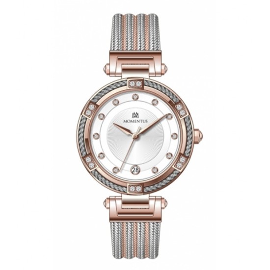 Momentus CS238R02TR Momentus CS238R02TR