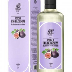 Rebul Fig Blossom İncir 270 ml Kolonya