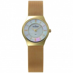 Skagen SKA233XSGG