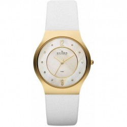 Skagen SKASKW2027