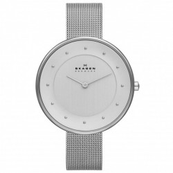 Skagen SKW2140