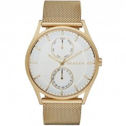 Skagen SKW6173