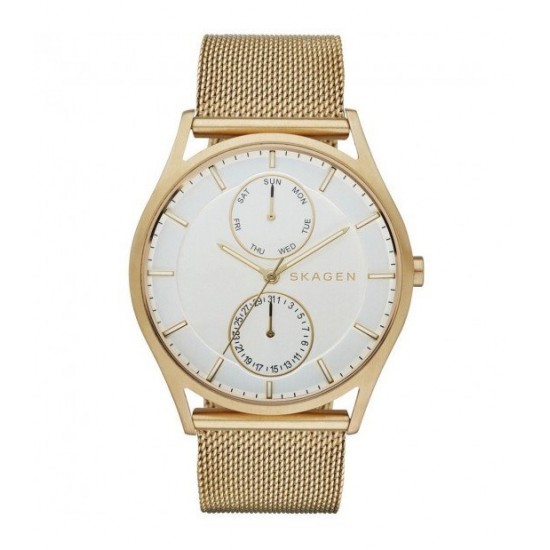 Skagen SKW6173