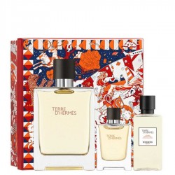 Terre D'Hermes 100 ml Edt Set