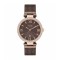 Wesse WWL300309M