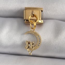 316L Çelik Gold Renk Zirkon Taşlı Hilal Model Kedi Detay Nomination Charm