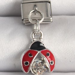 316L Çelik Gümüş Renk Zirkon Taşlı Uğur Böceği Model Nomination Charm