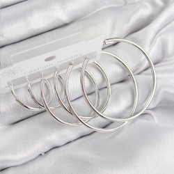 Pirinç Halka Model Gümüş Renk Kadın Set Küpe
