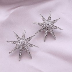 Gümüş Renk Metal Zirkon Taşlı Kutup Yıldızı Model Kadın Küpe Seti