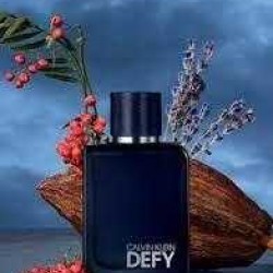 Calvin Klein Defy Men Parfüm 50 ml