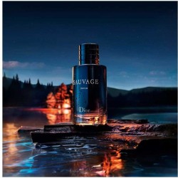 Dior Sauvage Parfum 100 ml