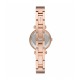 Fossil FBQ3894 Fossil FBQ3894