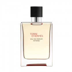 Terre D Hermes Edp Intense 100 ml