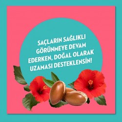 Elidor Doğanın Enerjisi Argan Yağı Onarıcı Süper Saç Bakım Kremi 170 ml