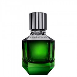 Roberto Cavalli Paradise Found Edt 50 ml Erkek Parfüm