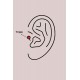 316L Çelik Gümüş Renk Zirkon Taşlı Kelebek Model Sallantı Detay Tragus Piercing 316L Çelik Gümüş Renk Zirkon Taşlı Kelebek Model Sallantı Detay Tragus Piercing