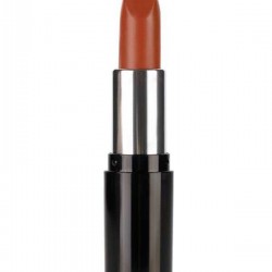 Pastel Nude Lipstick 546