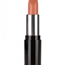 Pastel Nude Lipstick 549