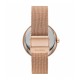 Skagen SKW2980