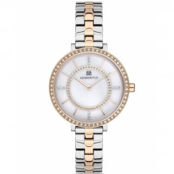 Momentus SW253T02SG